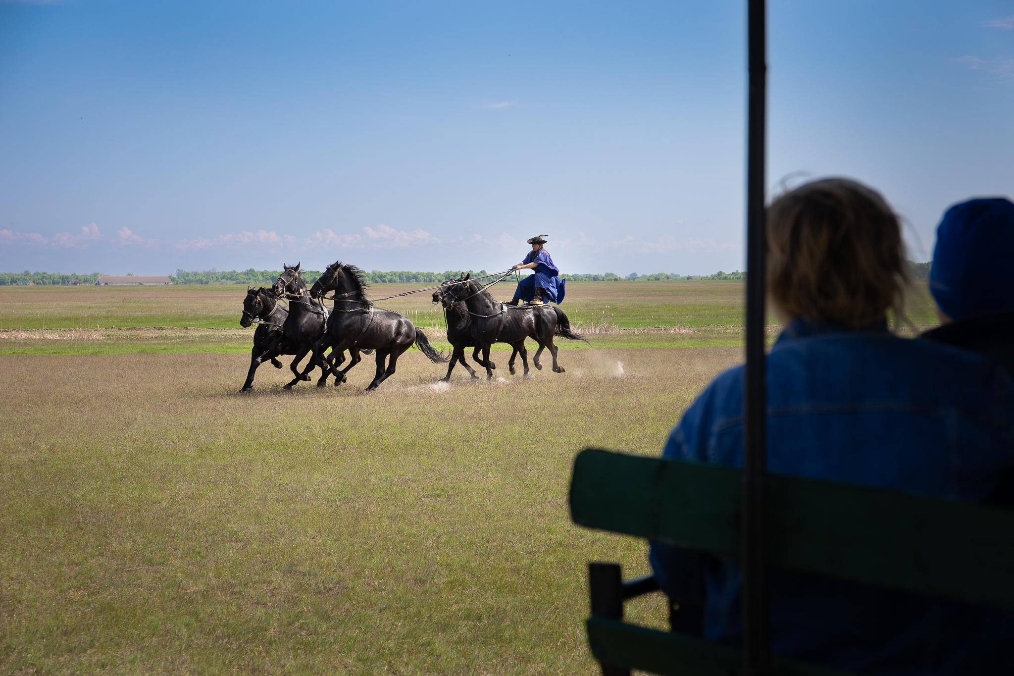 Les Csikós, derniers cow-boy des steppes hongroises